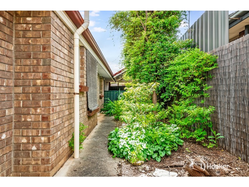 10 Cinnamon Grove, Blakeview SA 5114