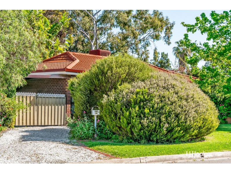 14 Chapman Crescent, Redwood Park SA 5097