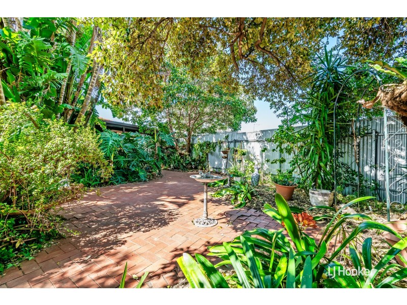 14 Chapman Crescent, Redwood Park SA 5097
