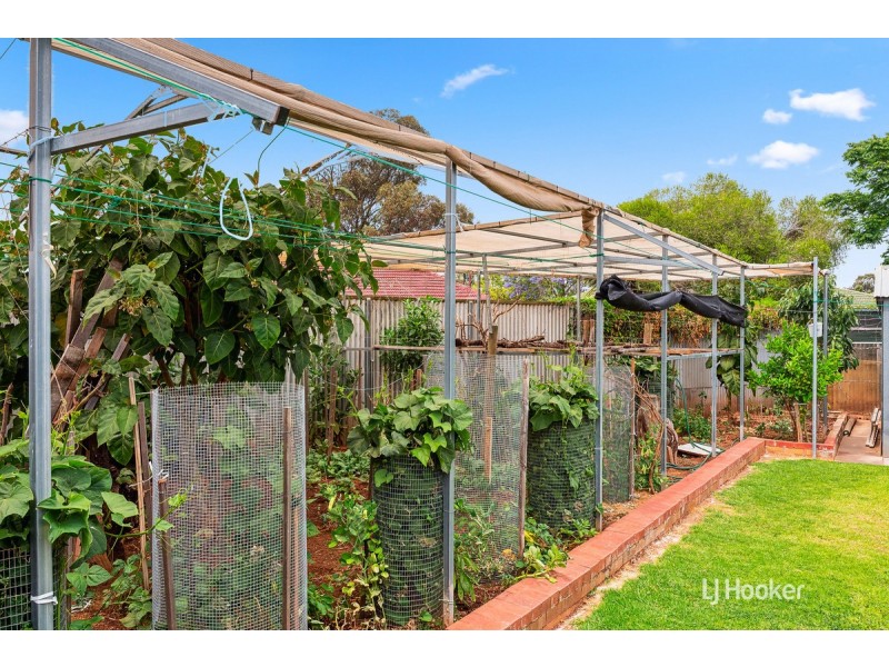 12 Limerick Street, Salisbury Downs SA 5108