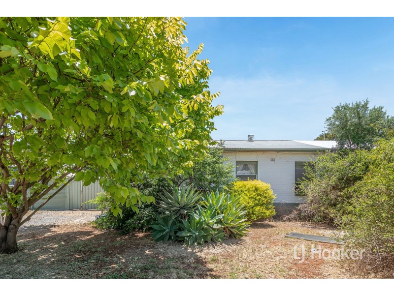 3 Wilkins Road, Elizabeth Downs SA 5113