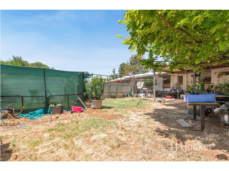 3 Wilkins Road, Elizabeth Downs SA 5113