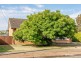 12 Crabb Road, Smithfield Plains SA 5114