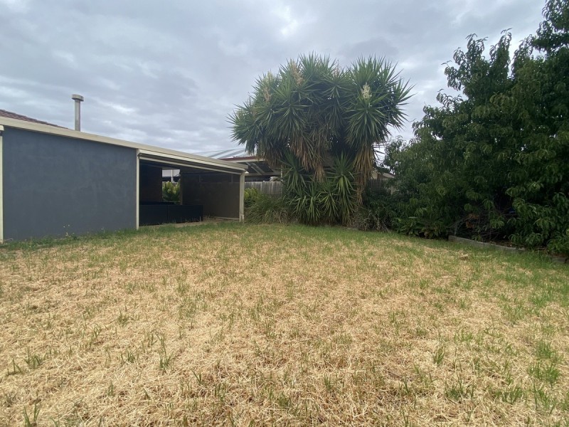 3 Tregenza Avenue, Elizabeth South SA 5112