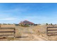 31 Schutt Road, Dublin SA 5501