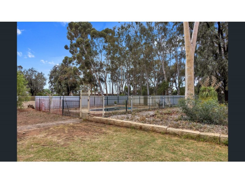 63 Elwood Road, Macdonald Park SA 5121