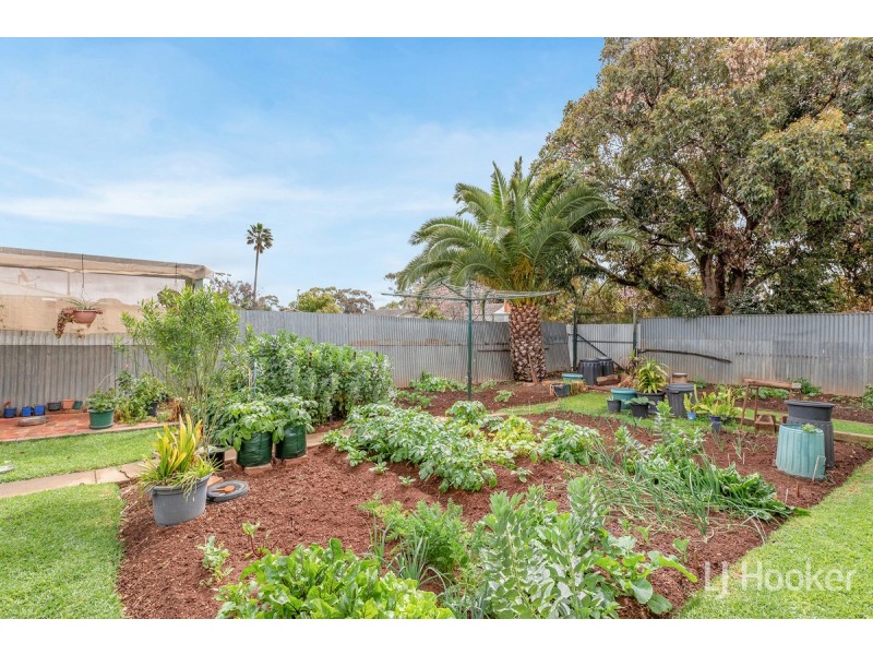 66 Stakes Crescent, Elizabeth Downs SA 5113