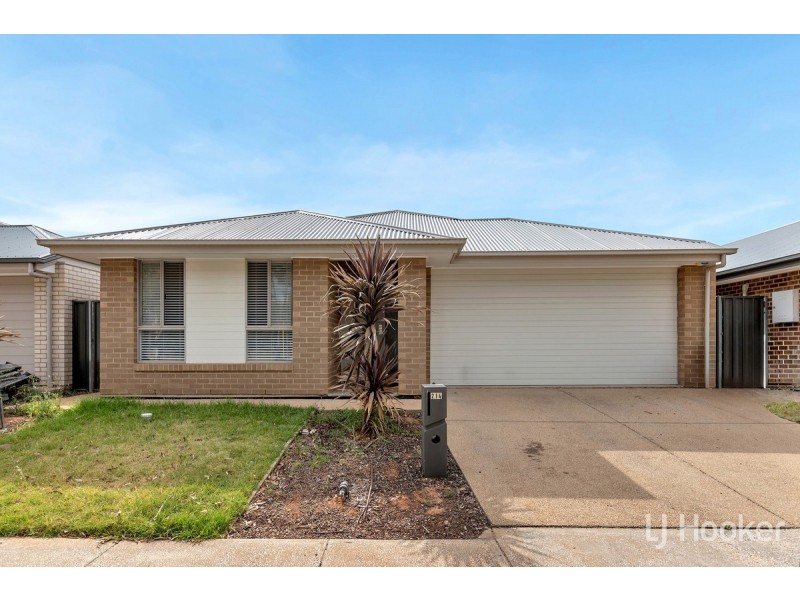 214 President Avenue, Andrews Farm SA 5114