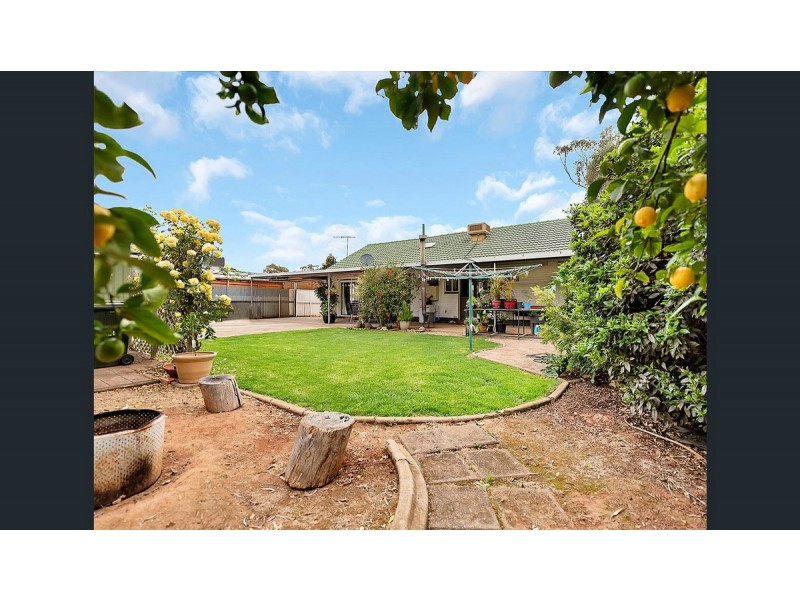 21 Berberis Street, Elizabeth Vale SA 5112