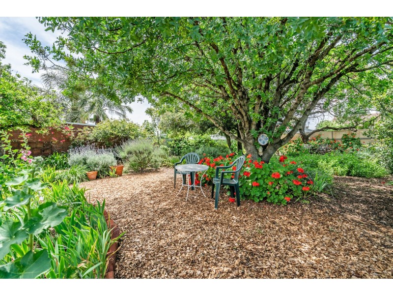 15 Waldron Street, Elizabeth East SA 5112