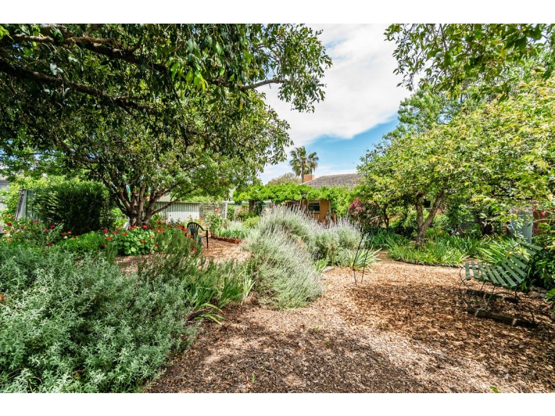 15 Waldron Street, Elizabeth East SA 5112