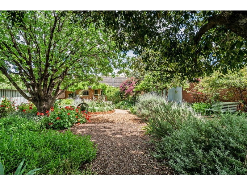 15 Waldron Street, Elizabeth East SA 5112