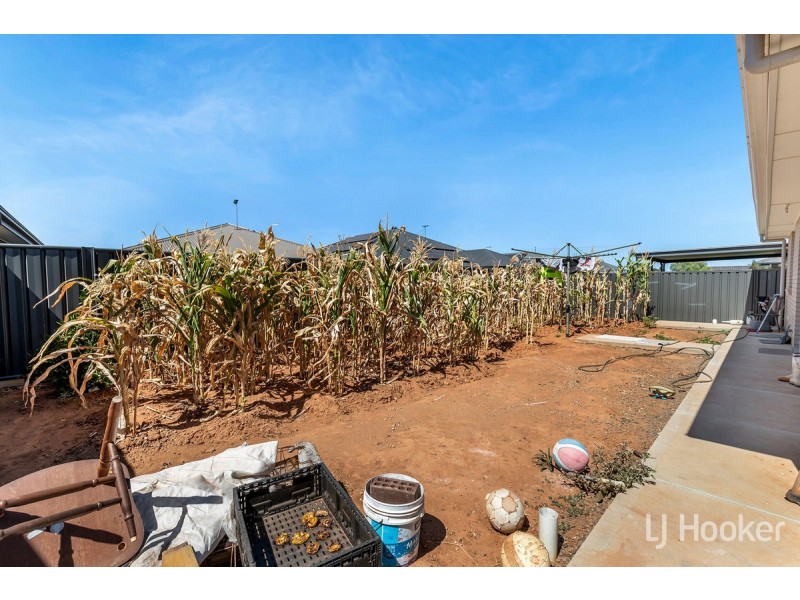 26 Greenhood Crescent, Andrews Farm SA 5114