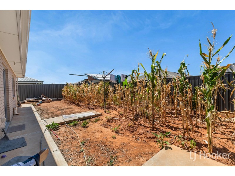 26 Greenhood Crescent, Andrews Farm SA 5114