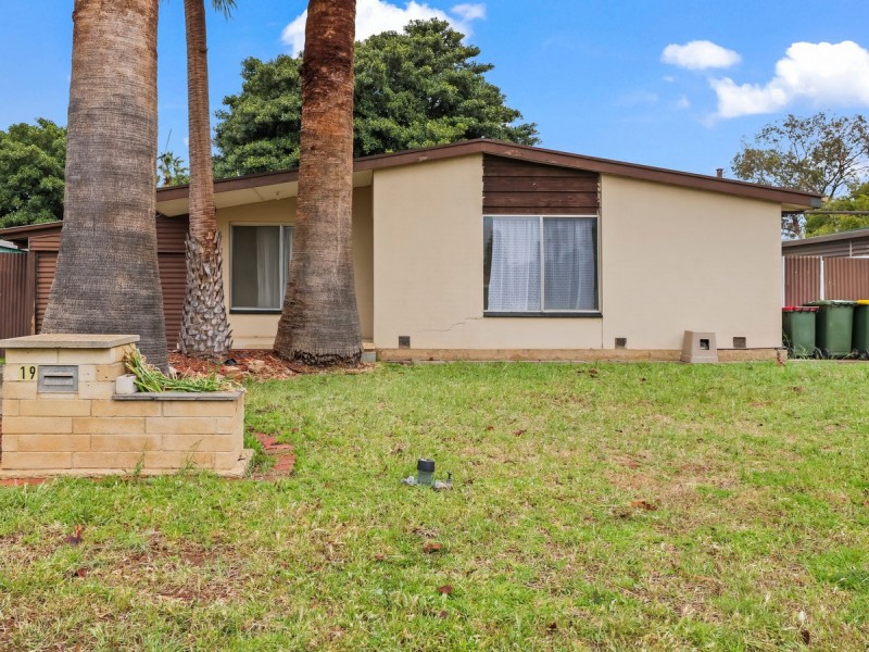 19 Douglas Street, Elizabeth Downs SA 5113