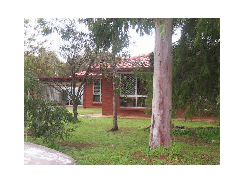 3 Springdale Avenue, Andrews Farm SA 5114