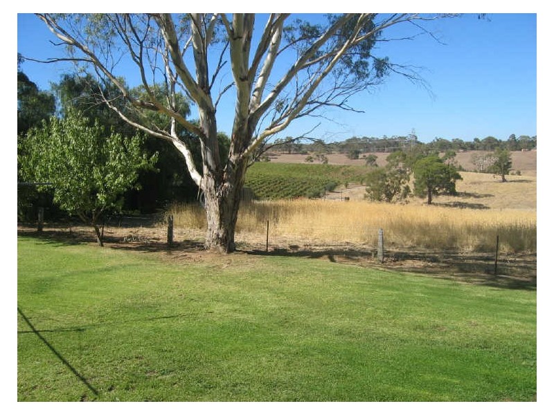 Lot 3 Blacktop Road, One Tree Hill SA 5114