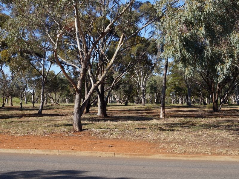 31 Seaborough Road, Elizabeth Park SA 5113