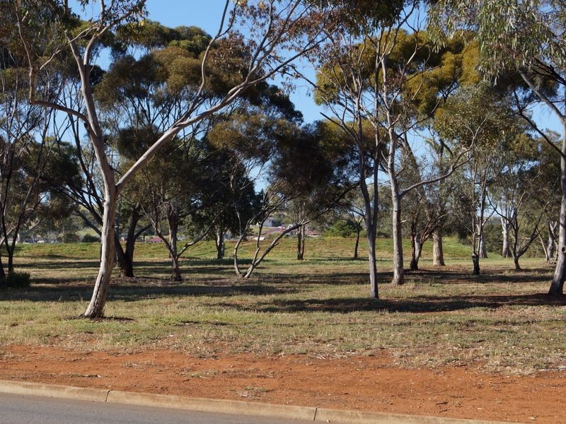 31 Seaborough Road, Elizabeth Park SA 5113