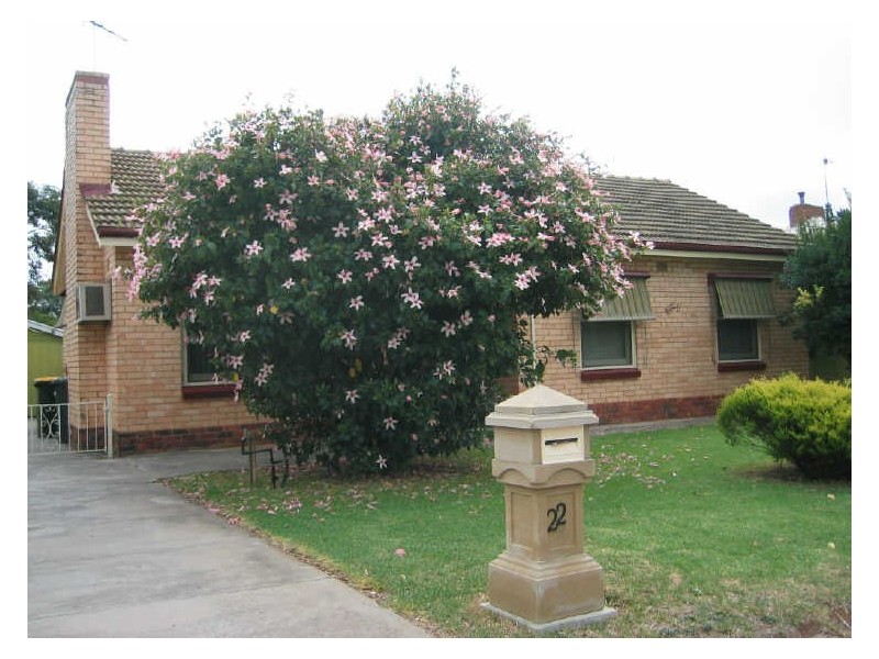22 Burdett Street, Elizabeth Grove SA 5112