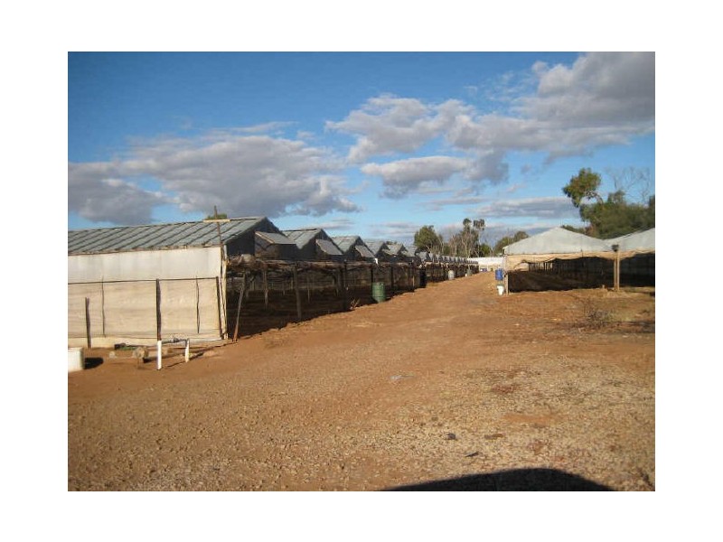 30 Julian Road, Macdonald Park SA 5121