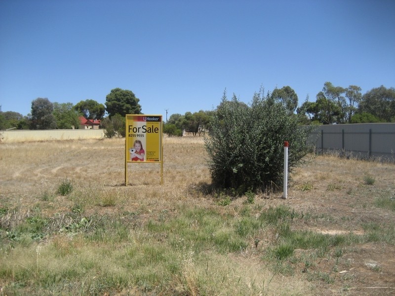 Lot 101 Day Street, Kapunda SA 5373