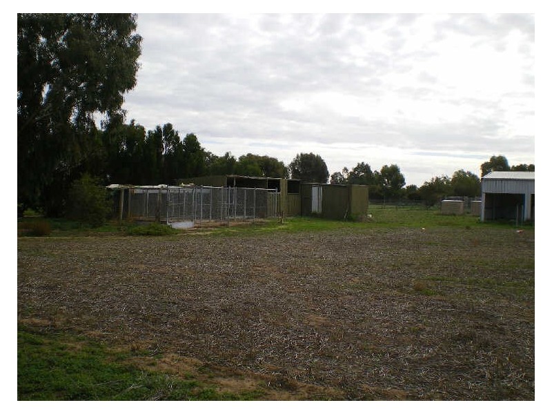 99 Dawkins Road, Two Wells SA 5501