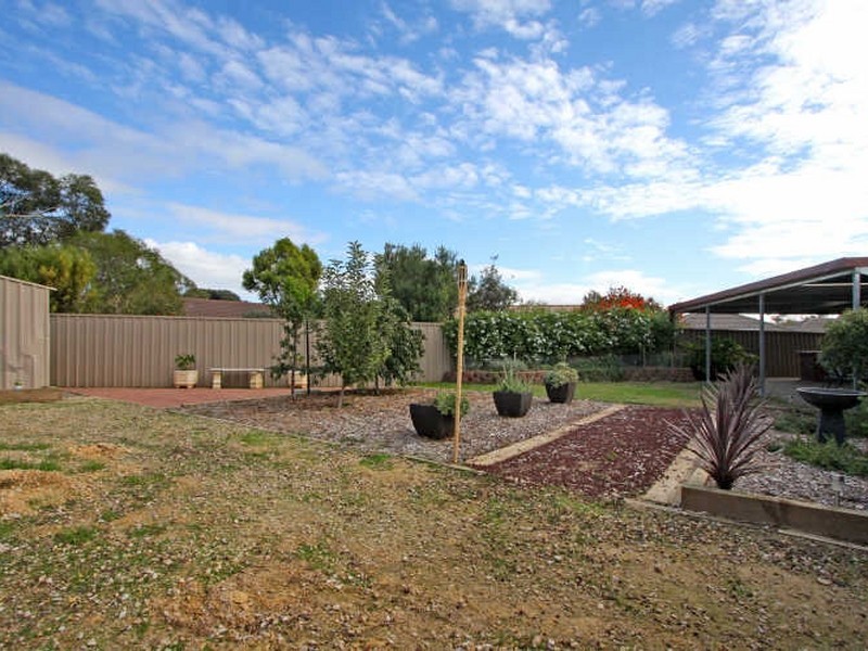 46 Daintree Walk, Blakeview SA 5114