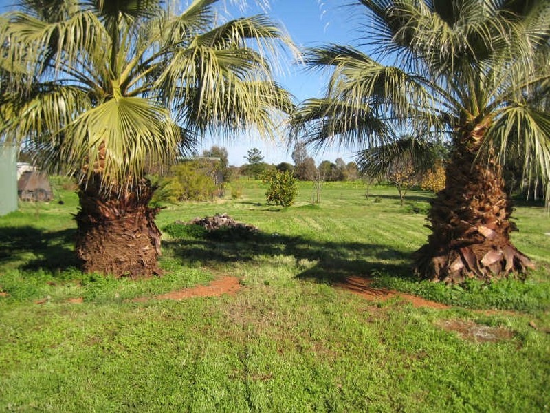 Lot 55 Salem Road, Kudla SA 5115