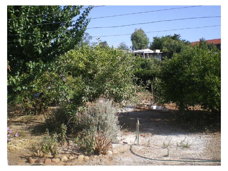 2 Mines Road, Campbelltown SA 5074