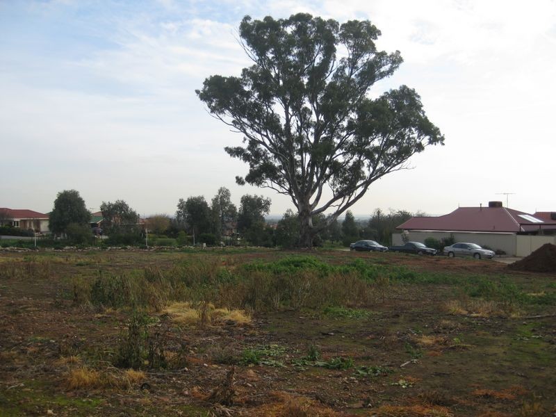 Lot 701 Garden Street, Blakeview SA 5114