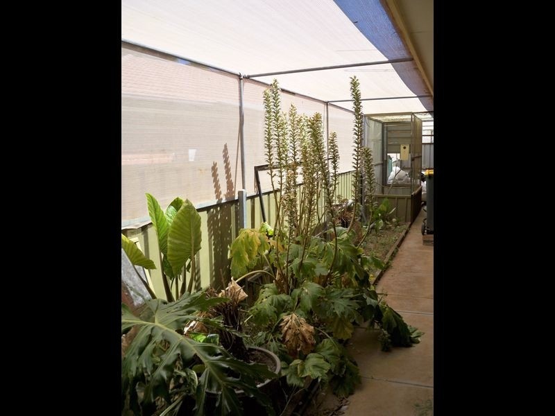 15 Hillier Court, Andrews Farm SA 5114