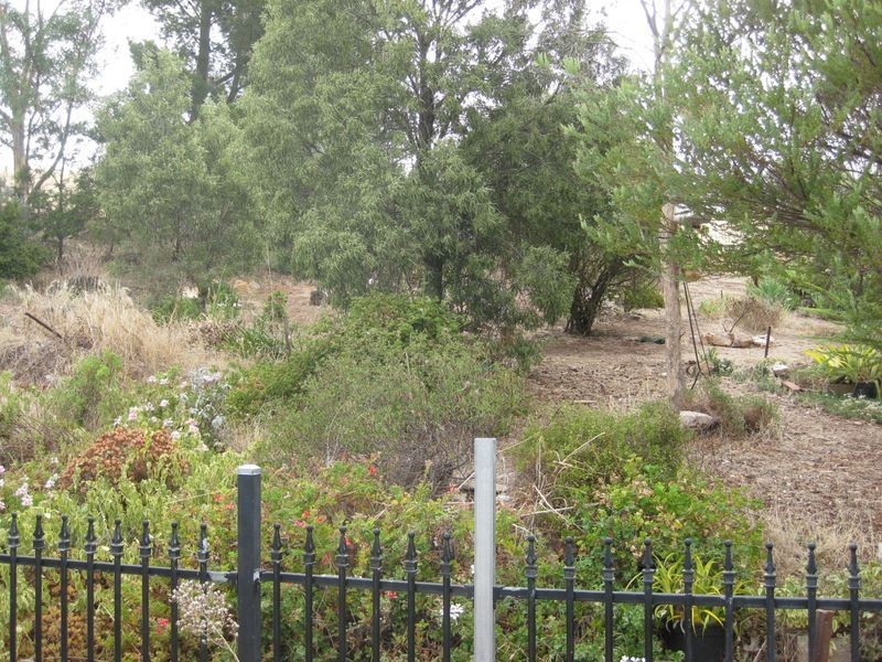 18 Gunn Street, Eudunda SA 5374