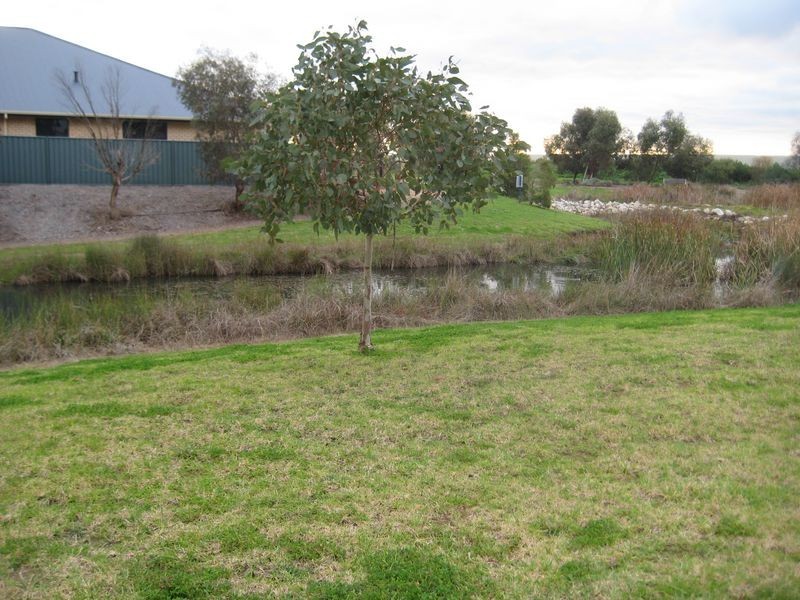 17 Lakeridge Court, Burton SA 5110