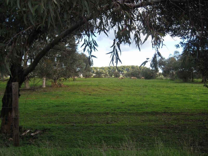 29A Ormsby Road, Kudla SA 5115