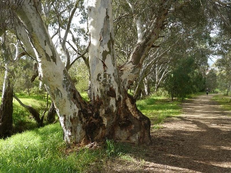 3 Casserly Crescent, Salisbury Heights SA 5109