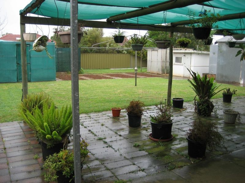 8 Allington Street, Elizabeth Grove SA 5112