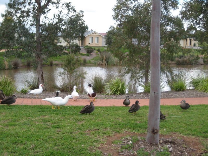 22 Strathaird Boulevard, Smithfield SA 5114