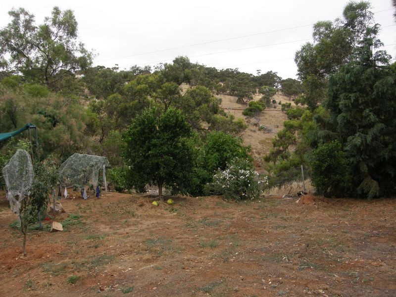 5 Yamba Court, Salisbury Heights SA 5109