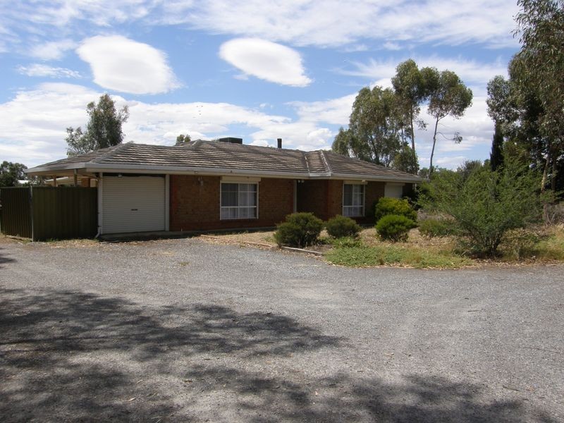 99 Dawkins Road, Lewiston SA 5501