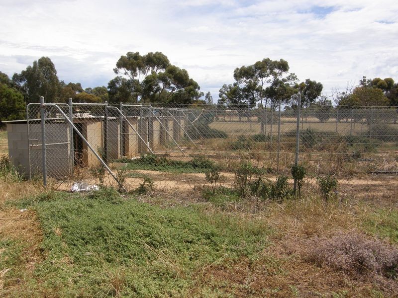 99 Dawkins Road, Lewiston SA 5501