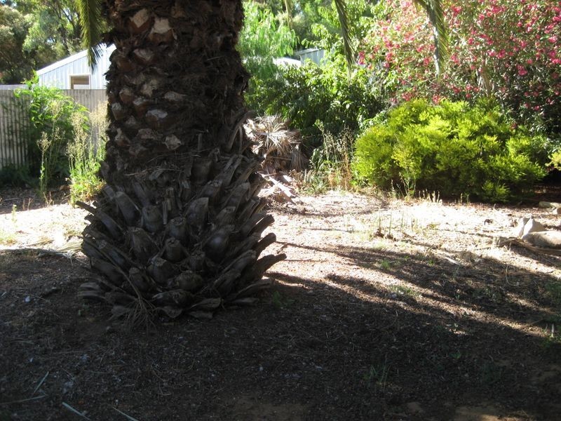 11 Brando Court, Paralowie SA 5108