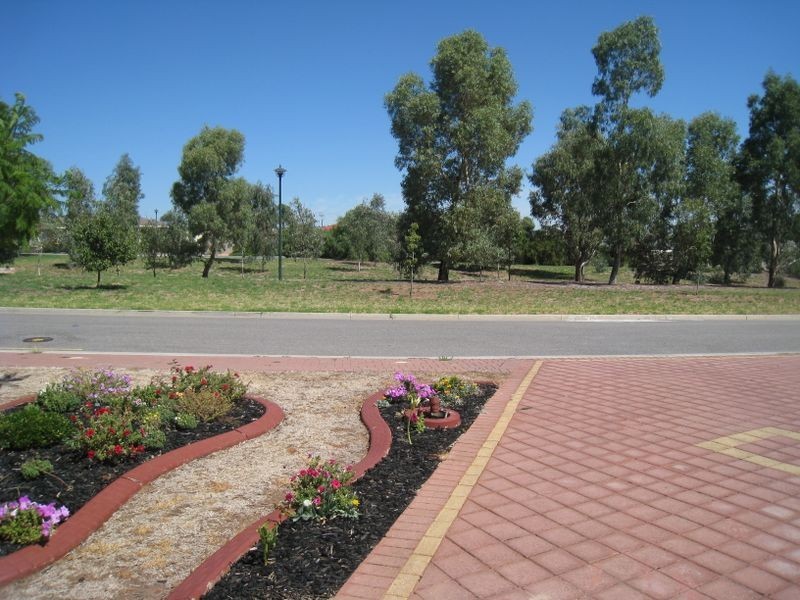 24 Regent Grove, Blakeview SA 5114