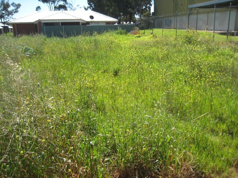 2 Grove Avenue, Elizabeth Park SA 5113