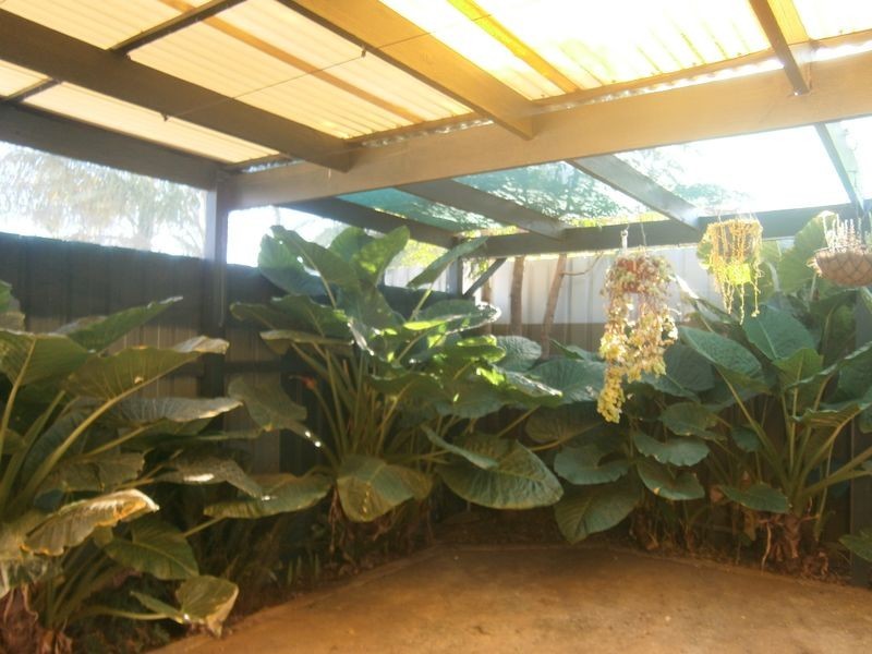 12 Riddoch Drive, Andrews Farm SA 5114