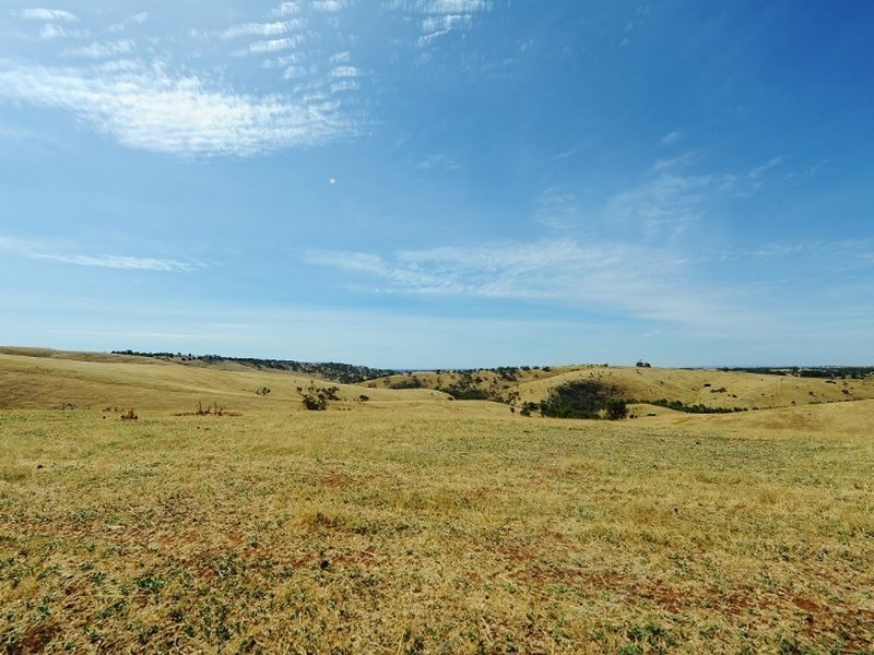 Lot 39 Riggs Road Bibaringa, One Tree Hill SA 5114