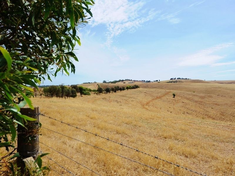 Lot 39 Riggs Road Bibaringa, One Tree Hill SA 5114
