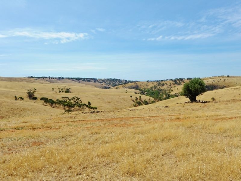 Lot 39 Riggs Road Bibaringa, One Tree Hill SA 5114
