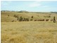 Lot 39 Riggs Road Bibaringa, One Tree Hill SA 5114