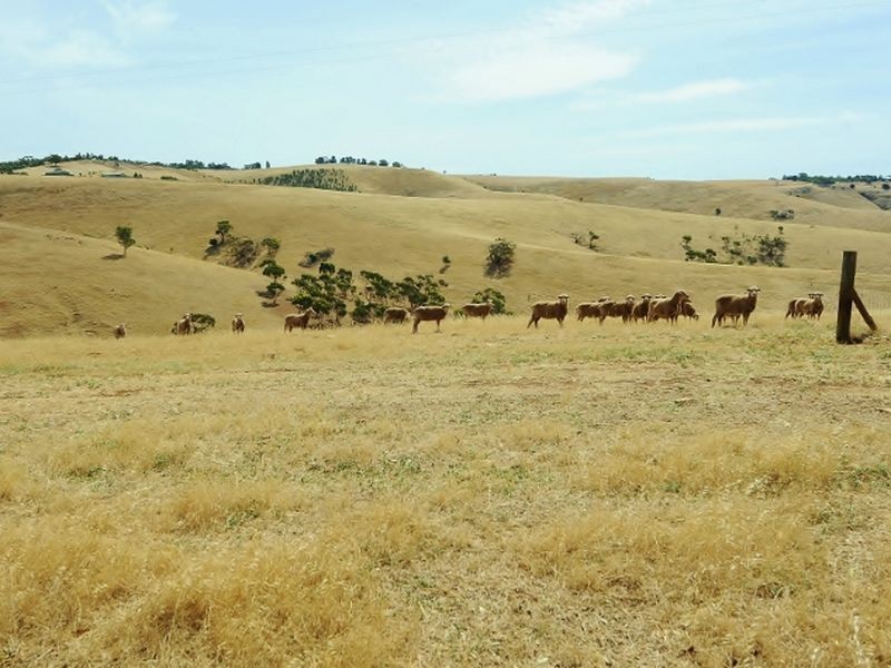 Lot 39 Riggs Road Bibaringa, One Tree Hill SA 5114